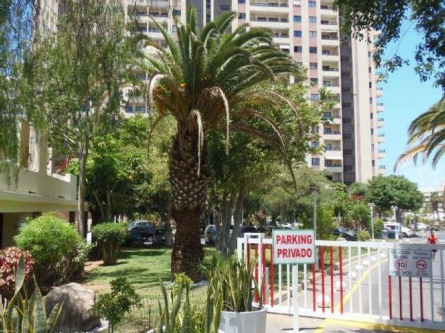 Ocean House & Perfect For You Costa Adeje  Buitenkant foto