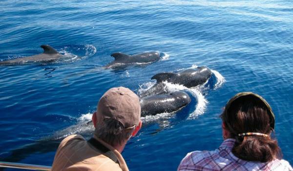 Ocean House & Perfect For You Costa Adeje  Buitenkant foto